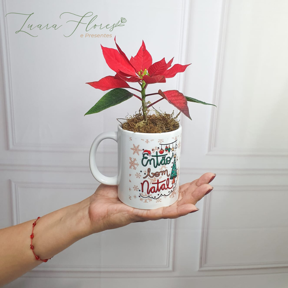 Presente Especial Ref 11N