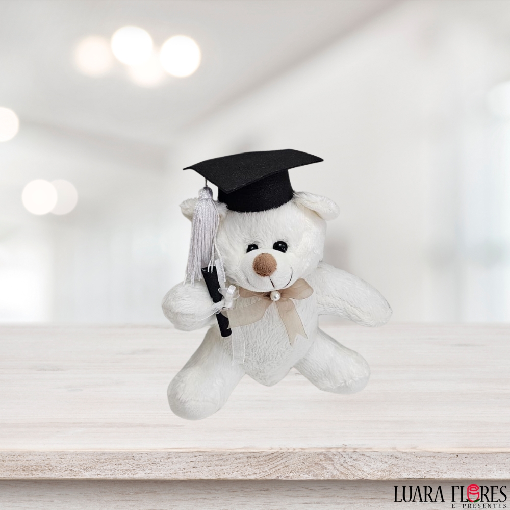 Urso Formando Ref 2727 