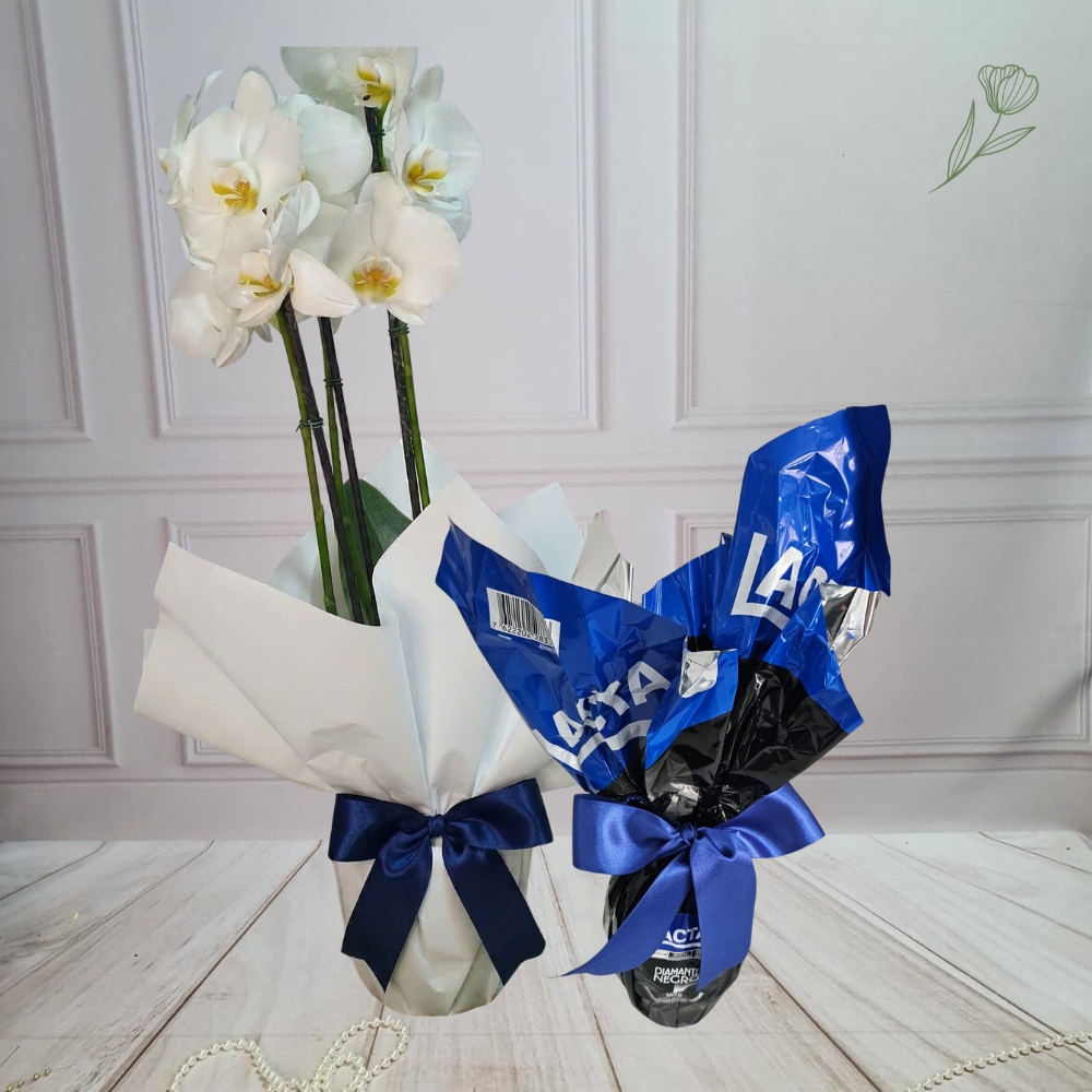 P�scoa Azul Real 012PC