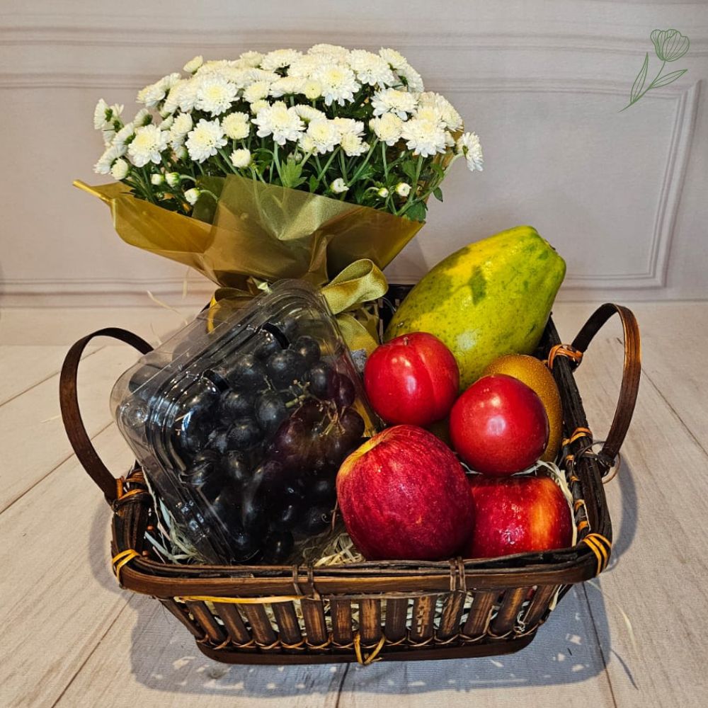Cesta Saudvel e Light
